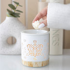 Waxbrander vlinder sfeerfoto