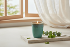 Breathe – Lit Daytime Reset Scene