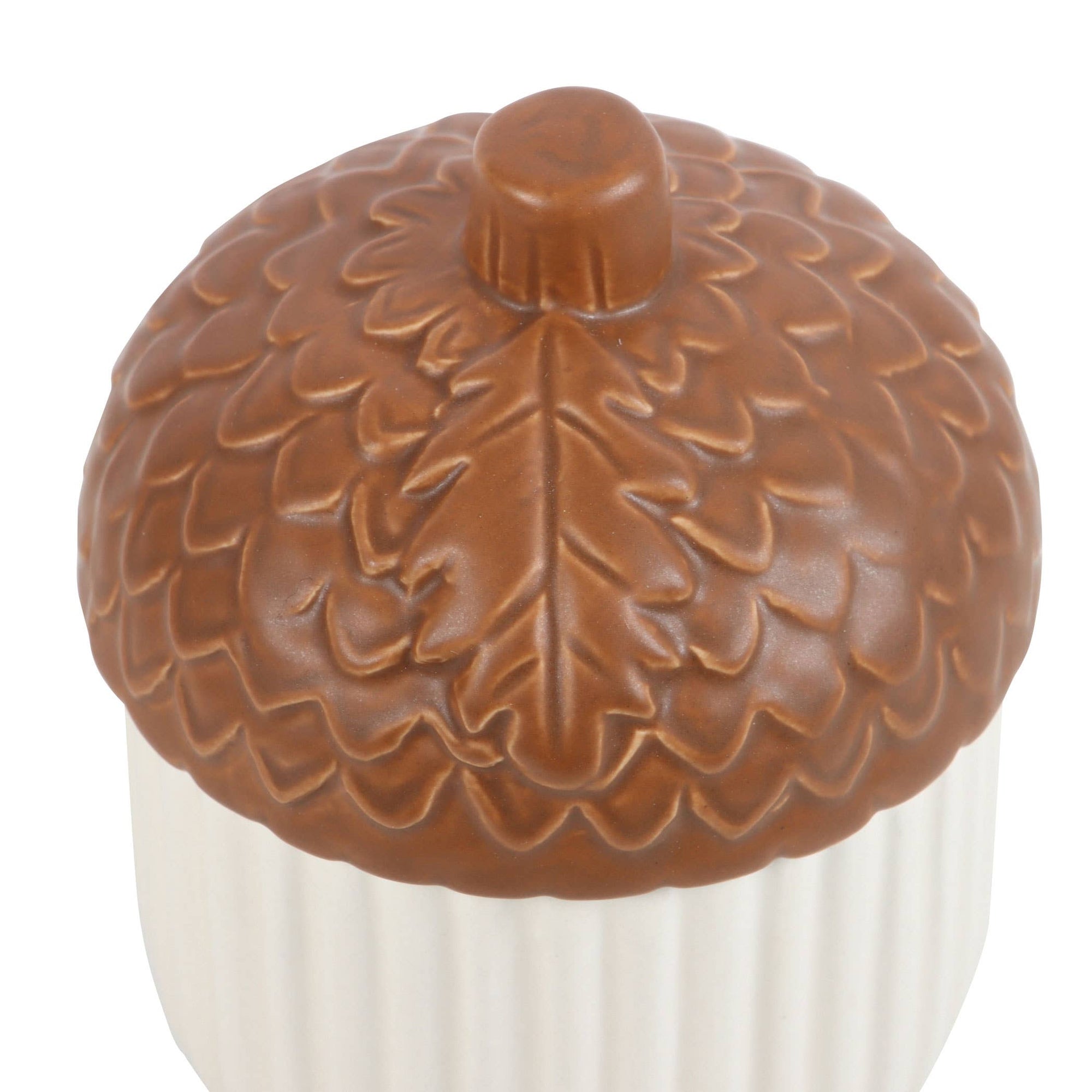Waxbrander Eikel bovenkant