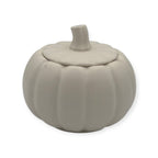 Pompoen kaarsRoeloffs Candles & Home DecorRCPomGeu00042