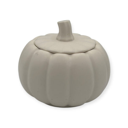 Pompoen kaars - Haal de gezellige geur van de herfst in huis met deze unieke pompoen kaars. Geuren van Sinaasappel en Kaneel die je verwarmen tijdens de koude dagen Roeloffs Candles & Home Decor 