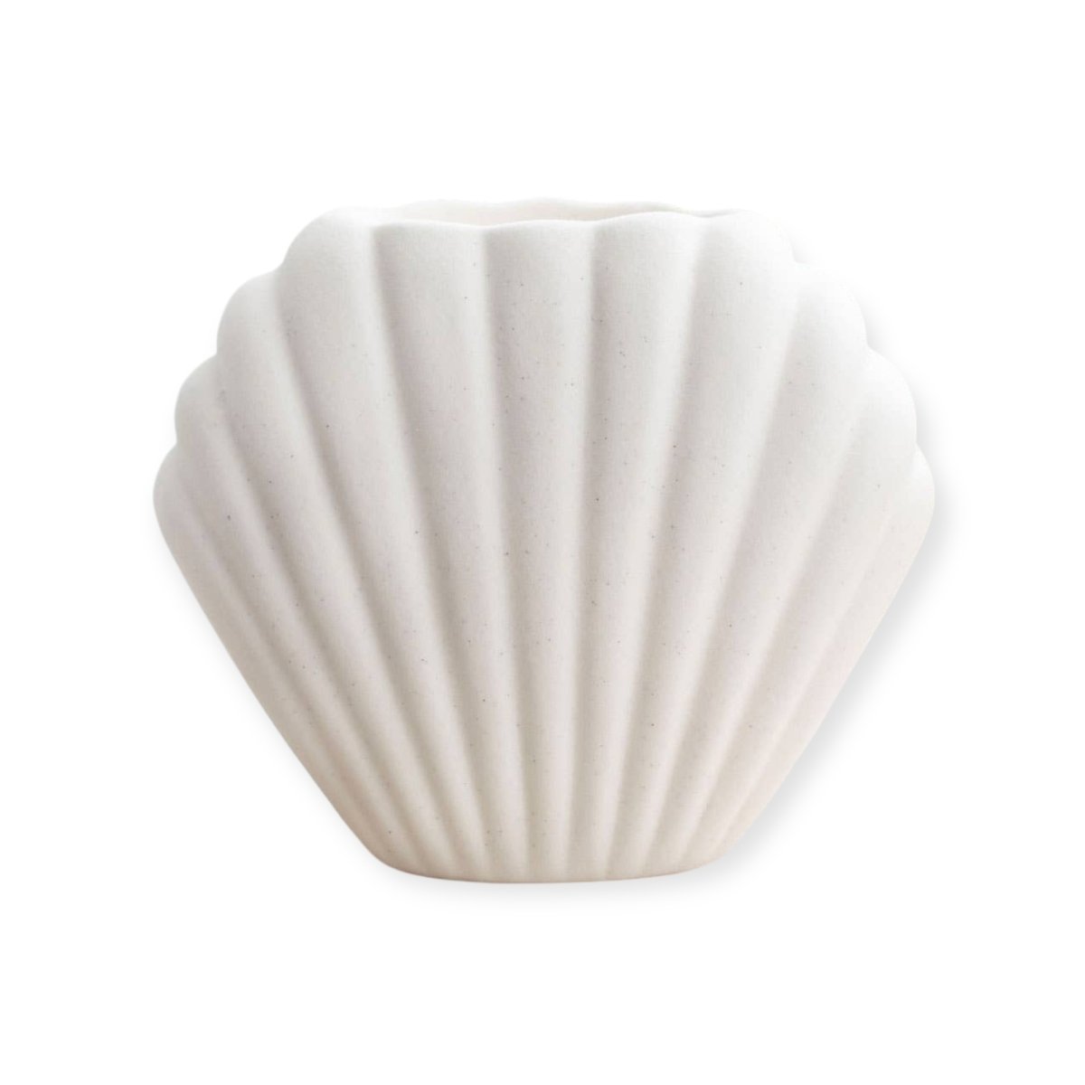 Waxbrander Zeeschelp Roeloffs Candles & Home DecorOB_22124